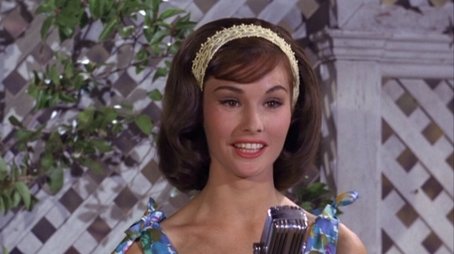 The County Fair (1966) - Episode 21 poster and promotional image