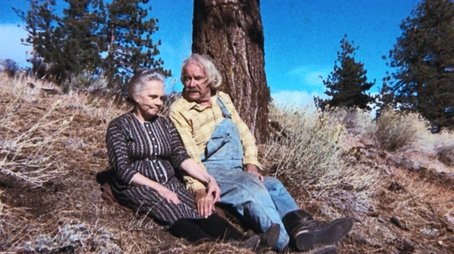 The Empty Nest (1978) - Episode 1 poster and promotional image