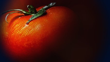 What's on Your Supermarket Shelves? The Dark Side of the Tomato Trade (2024) - Episode 38 poster and promotional image