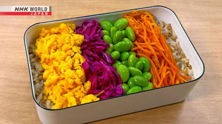 BENTO EXPO 시즌 8