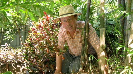 Episode 38 (2019) - Episode 38 poster and promotional image