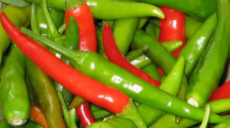 Netflix of Porn, Pleasure Mints, Lighter Side of Linux (2003) - Episode 52 poster and promotional image