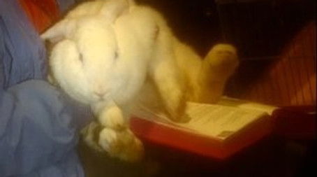 Animals (1994) - Episode 6 poster and promotional image