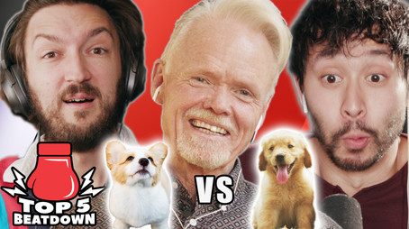 Westminster Dog Judge Ranks Top 5 Dogs (2021) - Episode 5 poster and promotional image