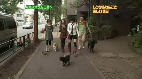 A Day with Rental Dog (2006) - Episode 332 poster and promotional image