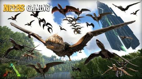 How To Tame 1000 Birds At Once!!! (2020) - Episode 29 poster and promotional image
