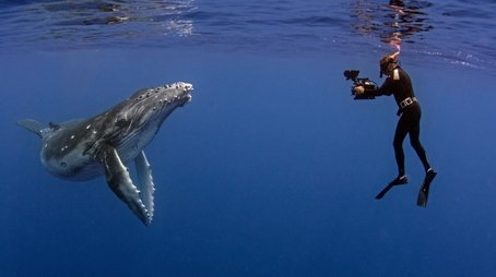 The Whale Detective (2020) - Episode 9 poster and promotional image