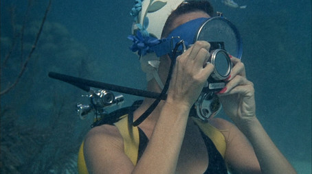 Flipper Sezona 1