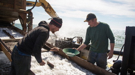 Bering Sea Gold Сезон 4