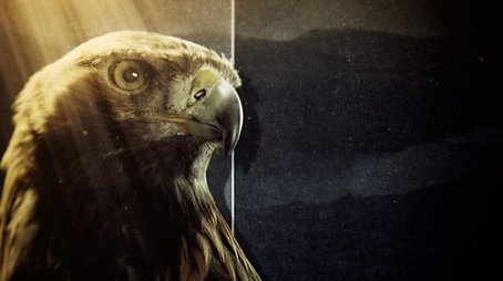 Super Powered Eagles (2020) - Episode 9 poster and promotional image