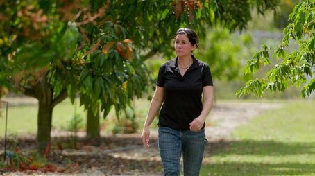 Florida Trees; Smart Lighting (2024) - Episode 3 poster and promotional image
