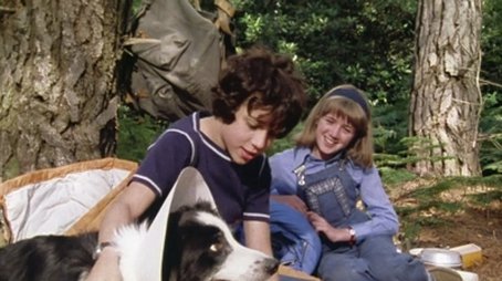 Five on a Secret Trail (1978) - Episode 11 poster and promotional image