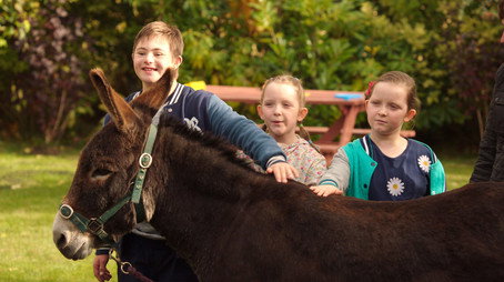 The Dumping Ground Сезон 4