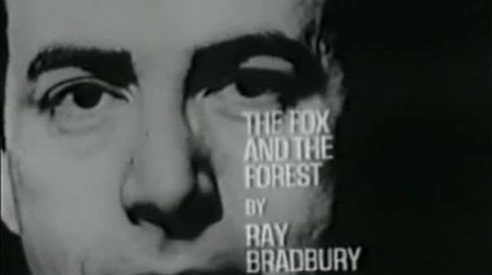 The Fox and the Forest (1965) - Episode 8 poster and promotional image