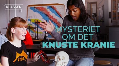 The mystery of the broken skull (2018) - Episode 23 poster and promotional image
