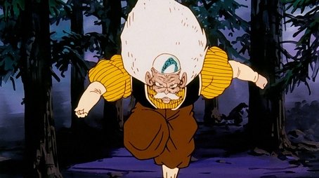 Dragon Ball Z425