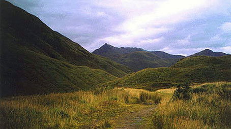 Episode 3 (2000) - Episode 3 poster and promotional image