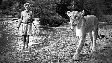 Elsa: The Lioness That Changed The World (2011) - Episode 10 poster and promotional image