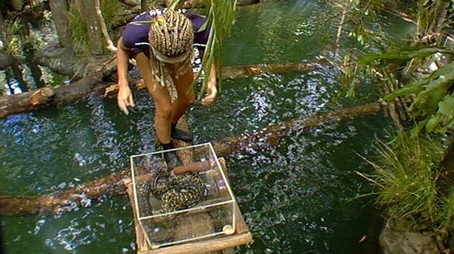 I'm a Celebrity...Get Me Out of Here! Сезон 3