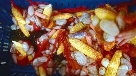 Truth and the Turkey Tale (2021) - Episode 2 poster and promotional image