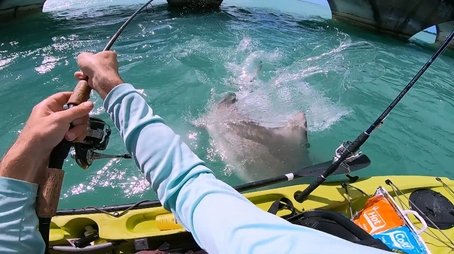 Caught! When Sharks Attack (2024) - Episode 15 poster and promotional image
