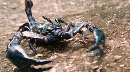 Race of life Évad 1