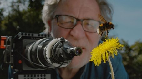 My Garden of a Thousand Bees (2021) - Episode 1 poster and promotional image