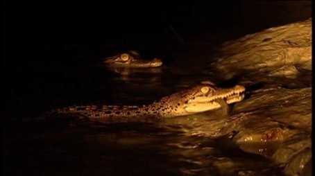 Invasion of the Crocodiles (2007) - Episode 6 poster and promotional image