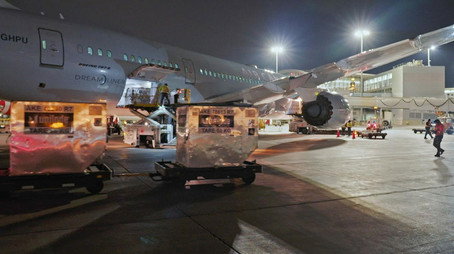 Toronto Airport Uncovered Сезон 1