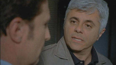 Distretto di Polizia Stagione 11