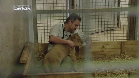 Expédition Pairi Daiza Сезон 1