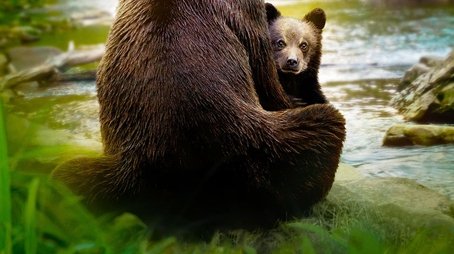 Growing Up Animal (2021) poster