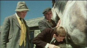 Horse Sense (1978) - Episode 1 poster and promotional image