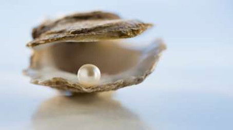 Freshwater Pearls, Knives, Hippo Roller (2017) - Episode 17 poster and promotional image