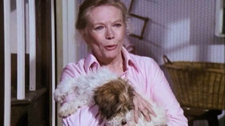 The Friend's Affair (1979) - Episode 9 poster and promotional image