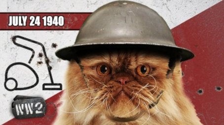 Monetize This, YouTube! - WW2 - Cat 01 (2019) - Episode 28 poster and promotional image