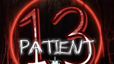 PATIENT 13 (2025) poster