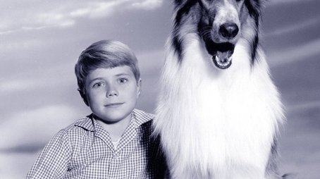 Lassie (1954) poster