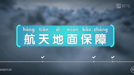 斑马百科 シーズン 13