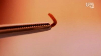 Breeders (2010) - Episode 7 poster and promotional image