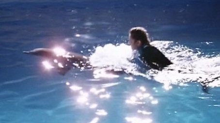 A Dolphin Song For Lee (2) (1988) - Episode 22 poster and promotional image