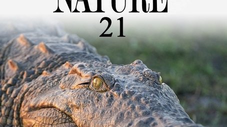Season 21 (2002) - Season 21 poster and promotional image