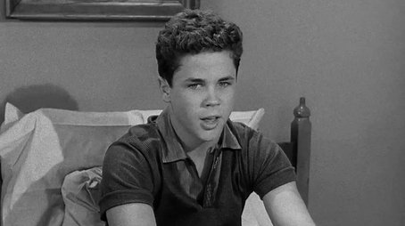 Beaver Plays Hooky (1959) - Episode 17 poster and promotional image