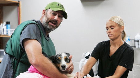 Lovebirds, Actually (2022) - Episode 10 poster and promotional image