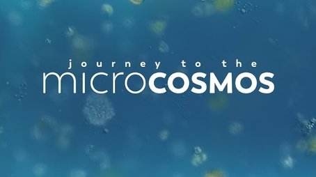 Journey to the Microcosmos (2019) poster