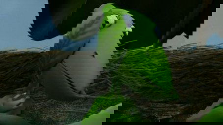 Hurricane at Pteradon Terrace (2012) - Episode 19 poster and promotional image