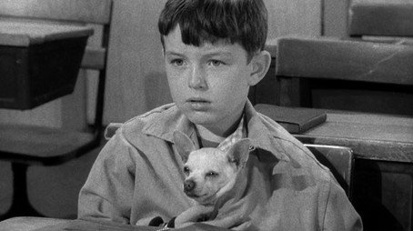 Leave It to Beaver Sezóna 1