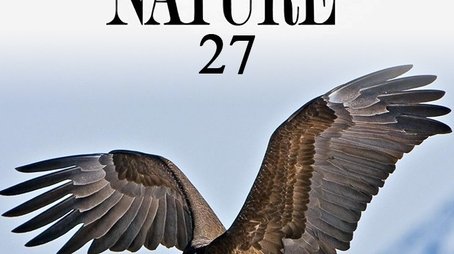 Season 27 (2008) - Season 27 poster and promotional image