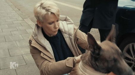 Commissioner Bruno (2020) - Episode 11 poster and promotional image