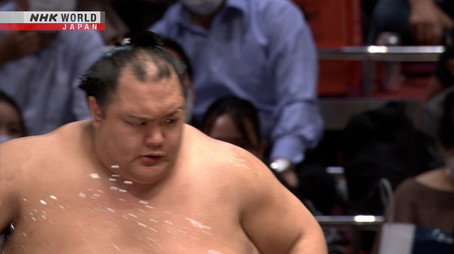 GRAND SUMO Highlights Сезон 13